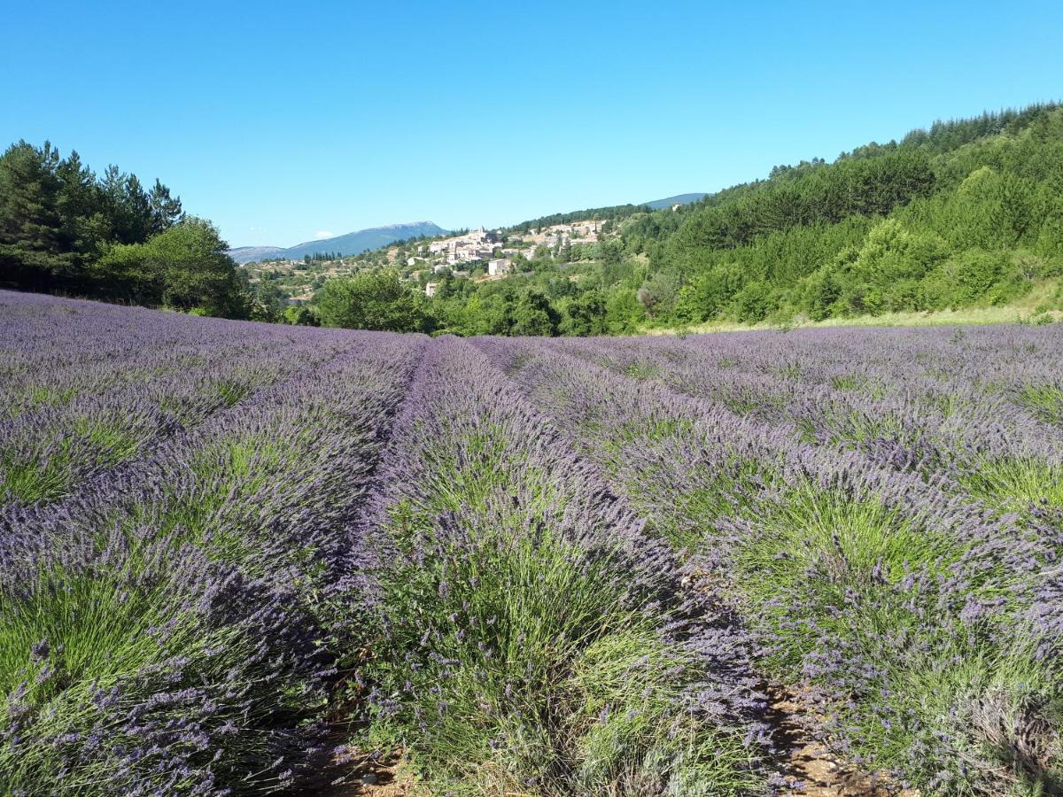 Loriol-du-Comtat Gite Dentelles מראה חיצוני תמונה